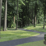 Abington-Art-Center-Woods-Path
