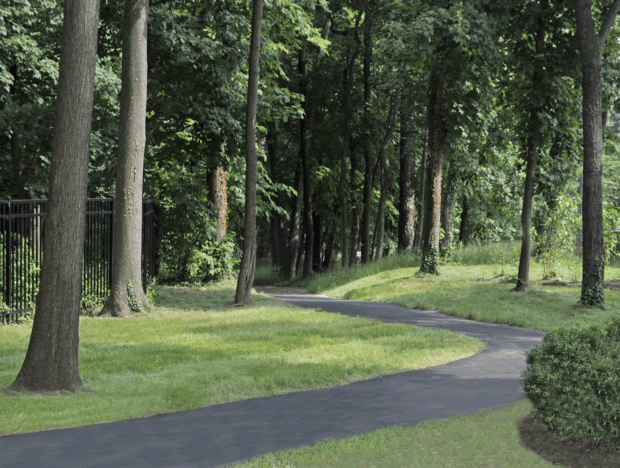 Abington-Art-Center-Woods-Path